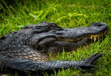 That Tell A Lot About ourselves