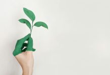 The Ultimate Guide to 10 Best Ecommerce Platforms for Dropshipping Business