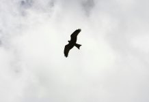 Making the most of your time and freedom