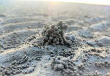 Success is not come in over night