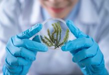 The biochemistry of greed