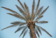 5 Munities a day, You will never be Poor Again