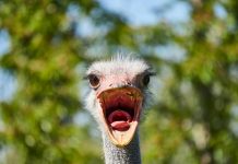 Keep your eyes open while you are traveling for new product or service