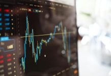 The entrepreneurial perspective