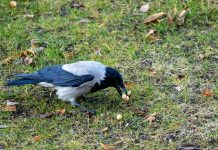 6 Habits that Make You Smart