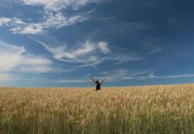 Freedom create more freedom