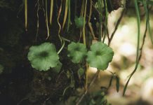 Make you smarter and life better