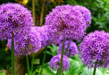 Stop learning and growing