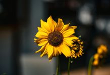 7 signs a man will be successful in life (even if he hasn’t achieved much yet)