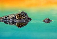 Rich people act in spite of fear poor people let fear stop them