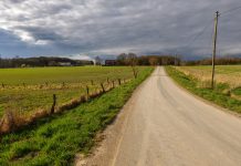 Mistakes improve your vision