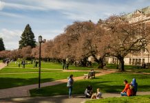 Gathering information